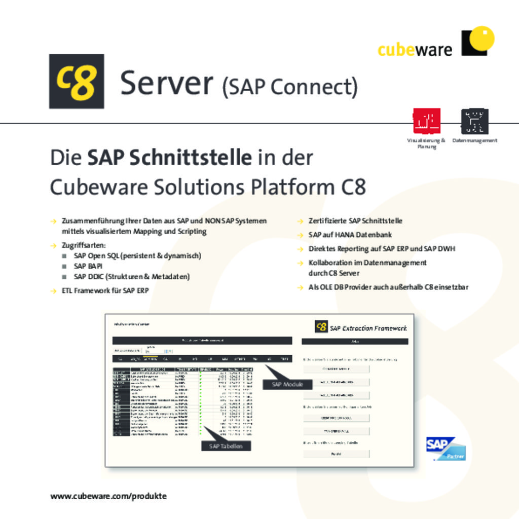 thumbnail of Cubeware Download – C8_Server_SAP_Connects_dt